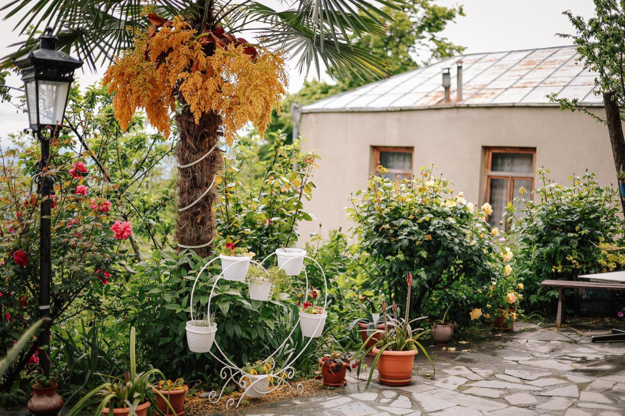 Hotel Sighnaghi Garden House Exterior foto